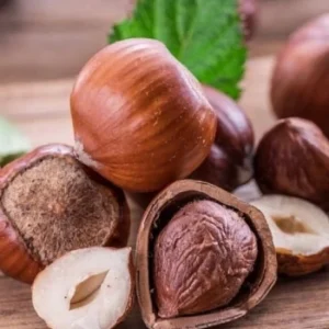 Hazelnuts