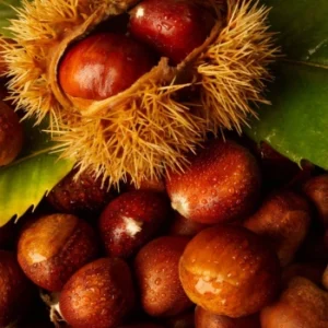 Chestnuts